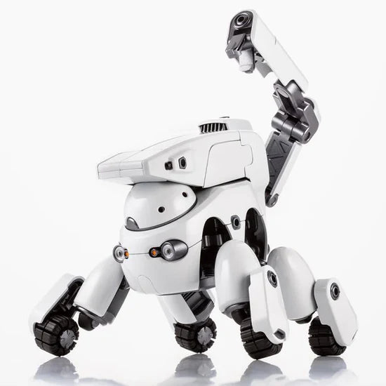 Tamotu Pro - Cool White Version