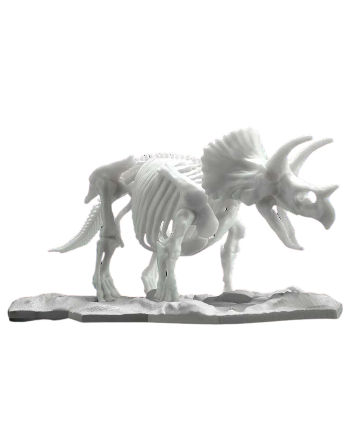 Dinosaur Limex Skeleton Triceratops mk