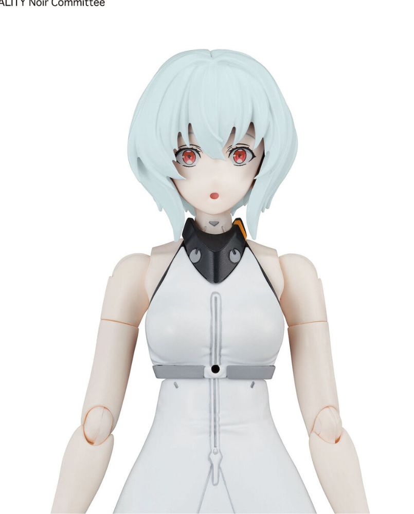 Figure-rise Standard Noir