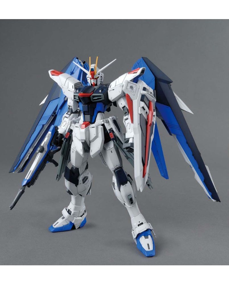 MG 1/100 Freedom Gundam Ver.2.0