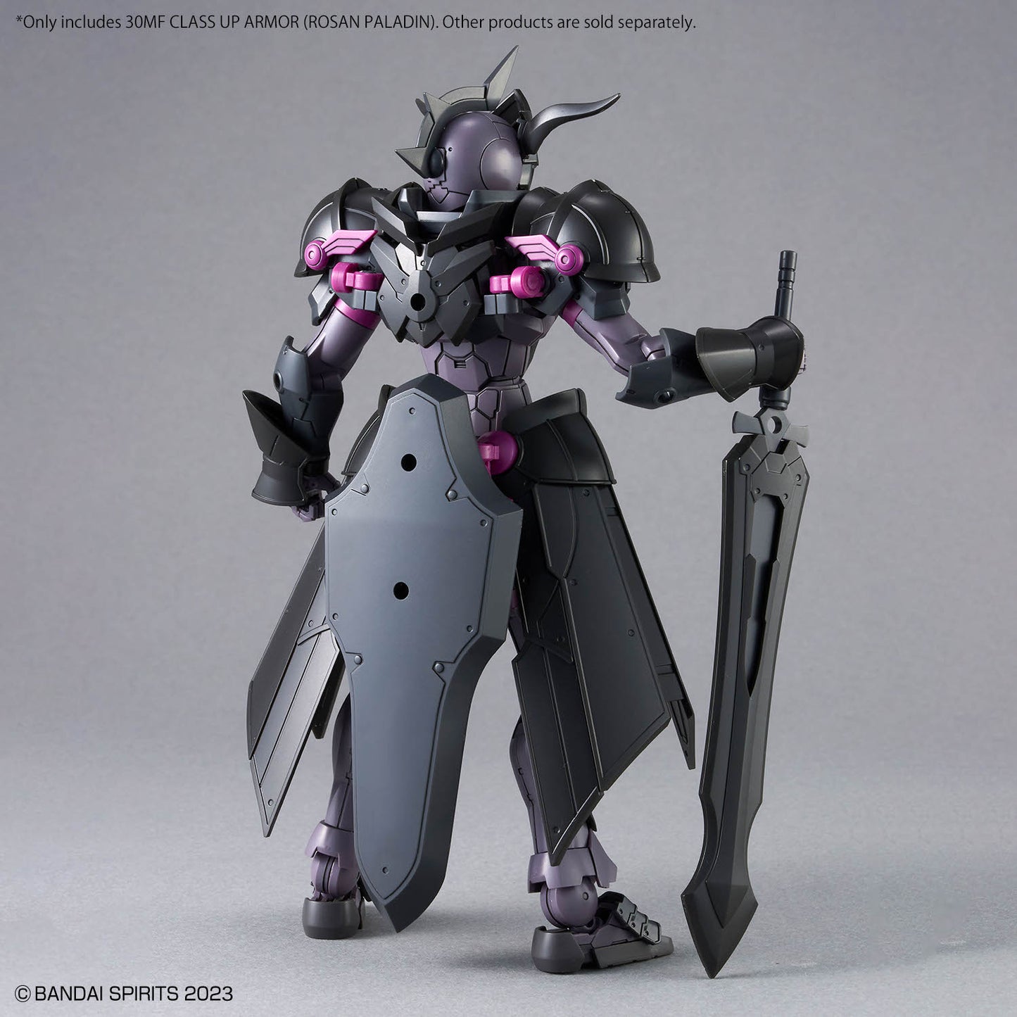 30MF Class Up Armor Rosan Paladin