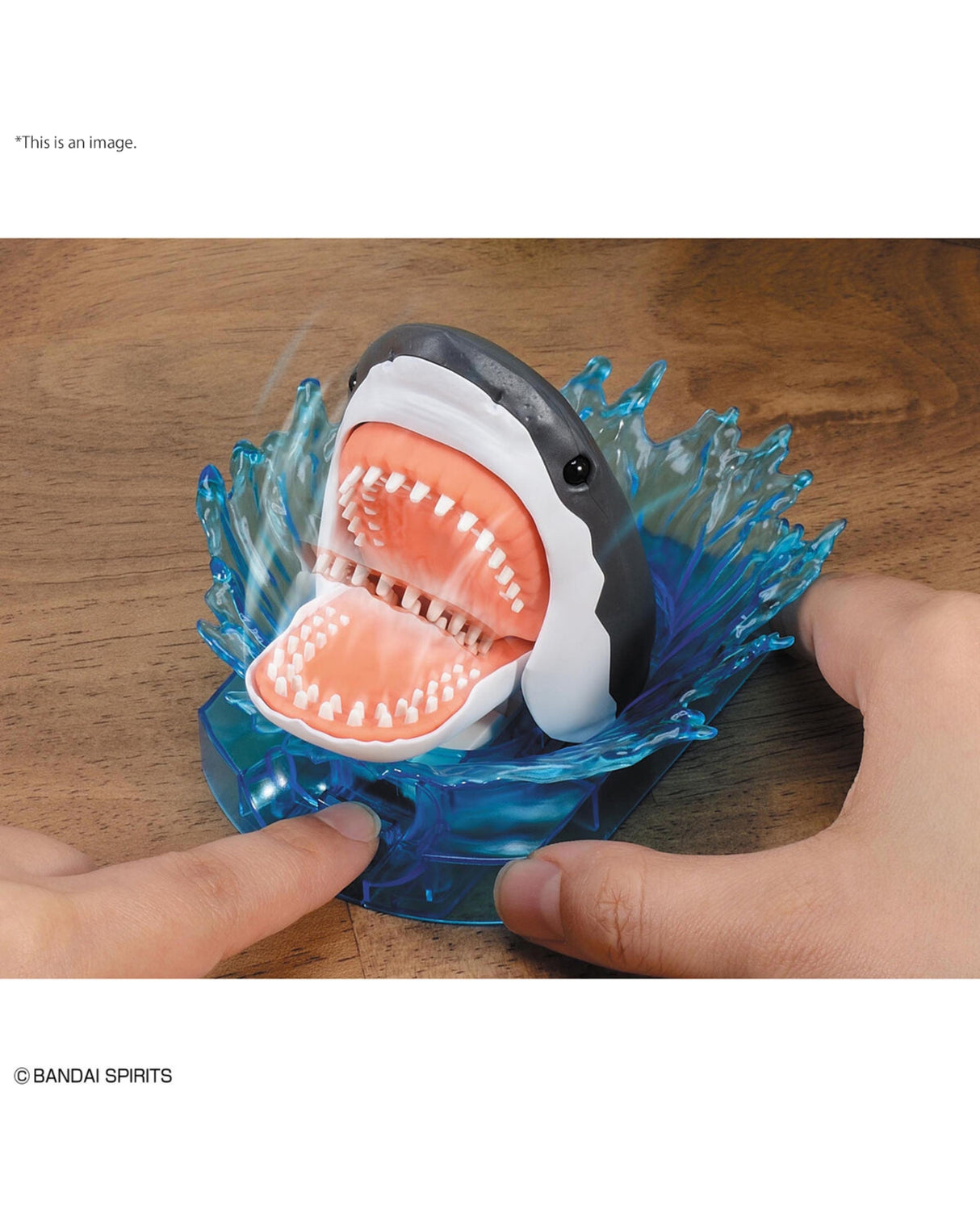 Exploring Lab Nature Great White Shark