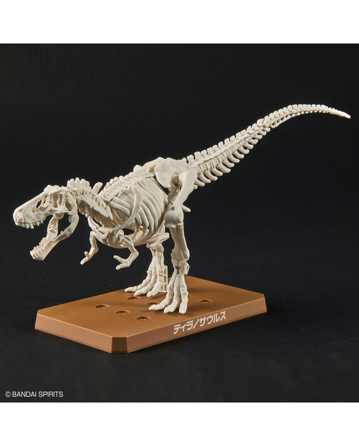 PLANNOSAURUS Dinosaurs Tyrannosaurus