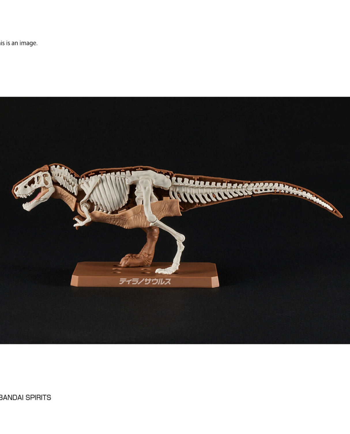 PLANNOSAURUS Dinosaurs Tyrannosaurus