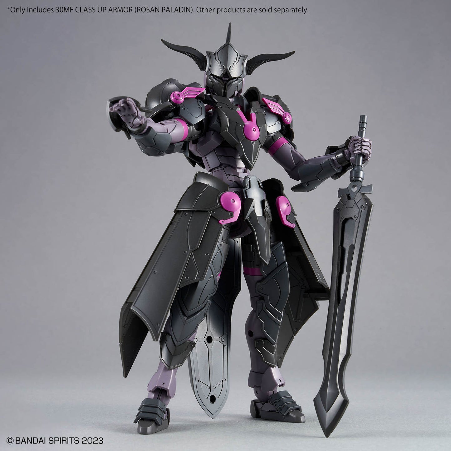 30MF Class Up Armor Rosan Paladin