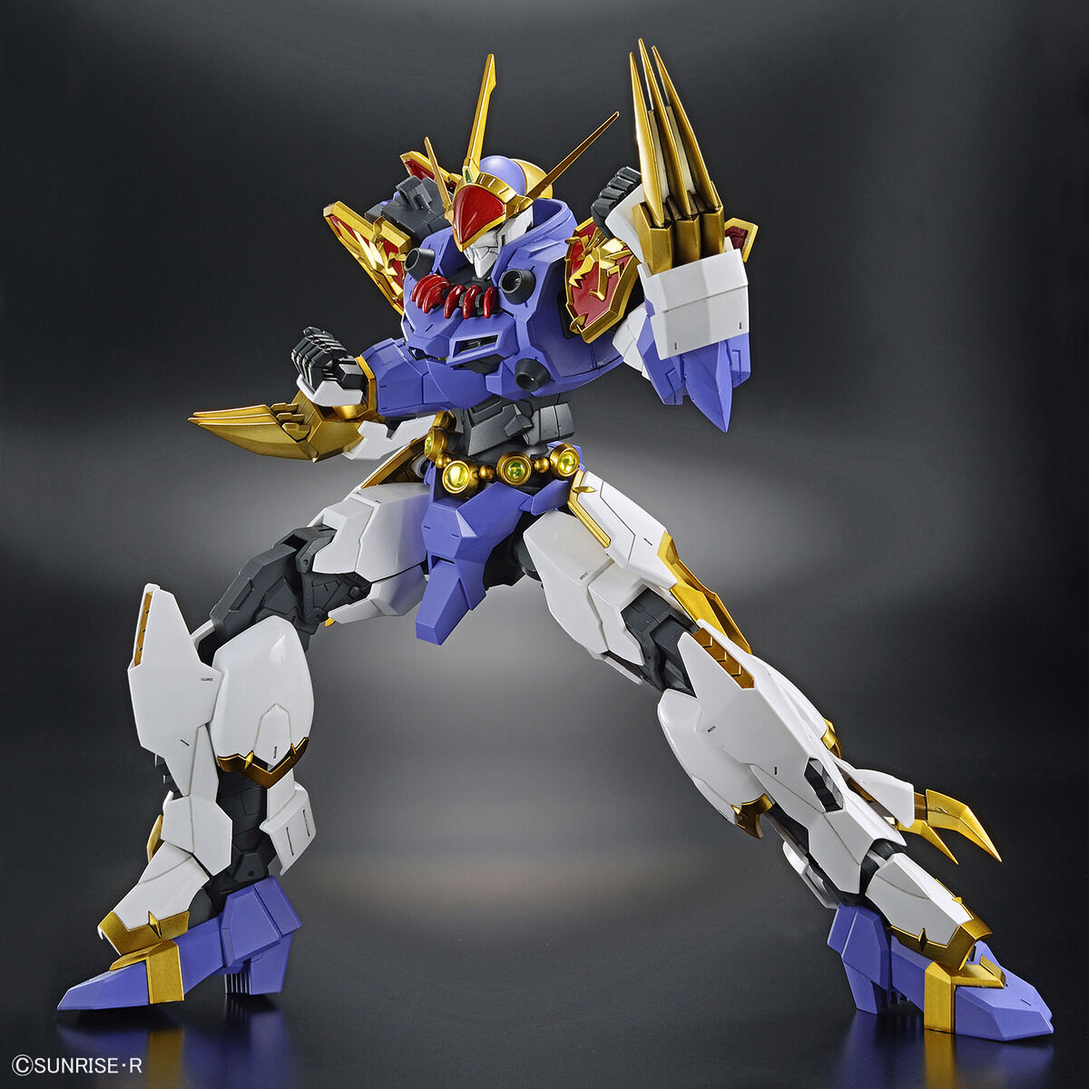 Hg IMGN Ryujinmaru Amplified