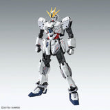 MG 1/100 Narrative Gundam C-Packs Ver.Ka