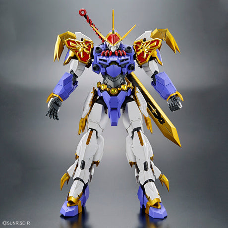 Hg IMGN Ryujinmaru Amplified