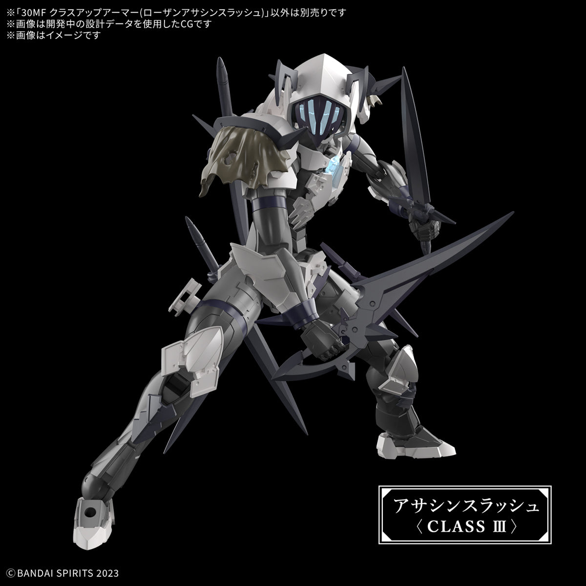 30MF Class Up Armor : Rosan Assassin Slash