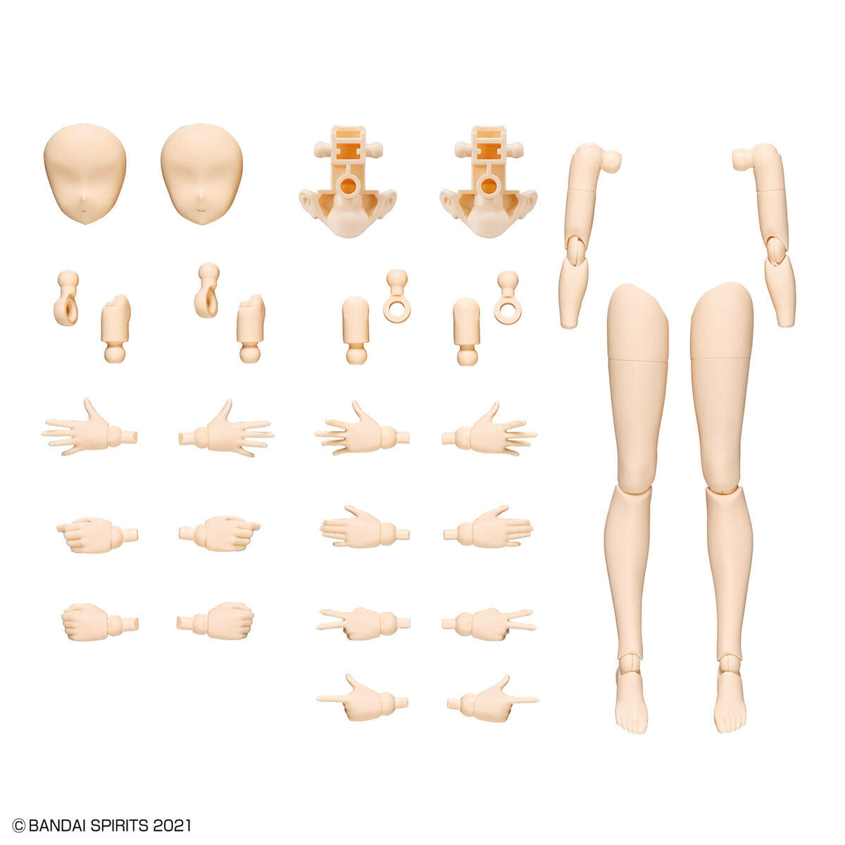 30MS Optional Body Parts Arm Parts & Leg Parts [Color A]