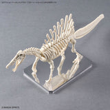 Action Base 6 Clear Mirror Stickers Set