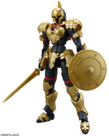 30MF Liber Swordman