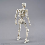 Model skeleton figure on a gray background