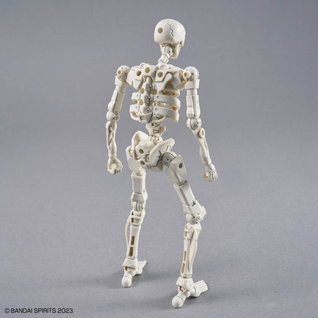 Model skeleton figure on a gray background