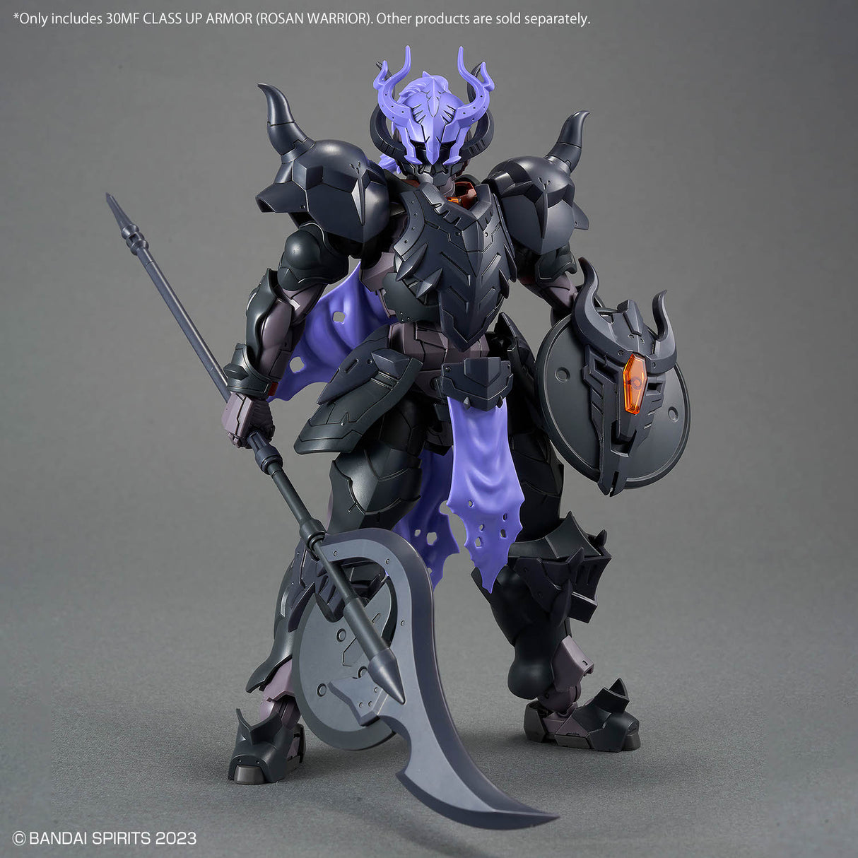 30MF Class Up Armor Rosan Warrior