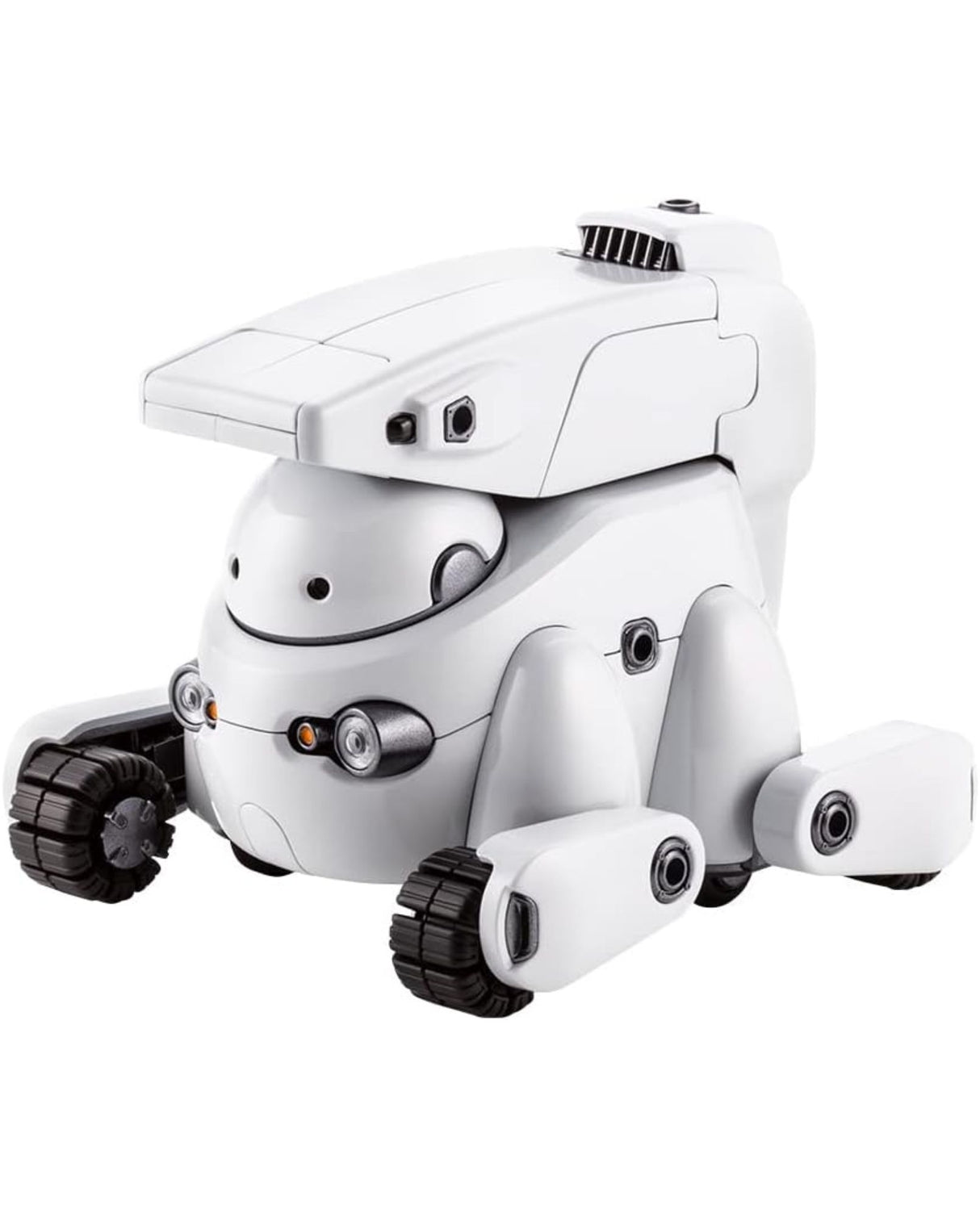 Tamotu Pro - Cool White Version