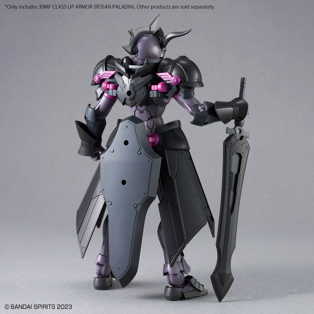 30MF Class Up Armor Rosan Paladin