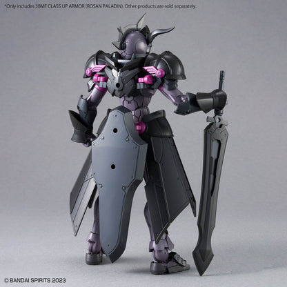 30MF Class Up Armor Rosan Paladin