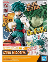 Entry Grade Izuku Midoriya
