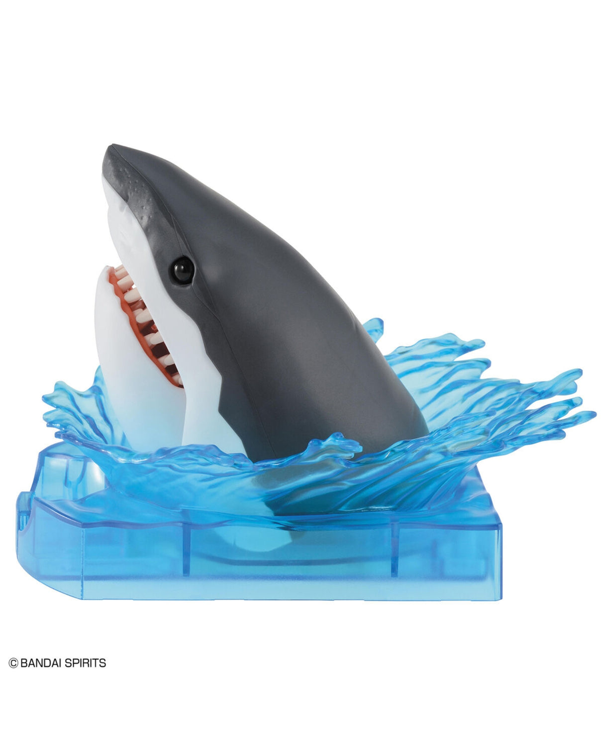 Exploring Lab Nature Great White Shark