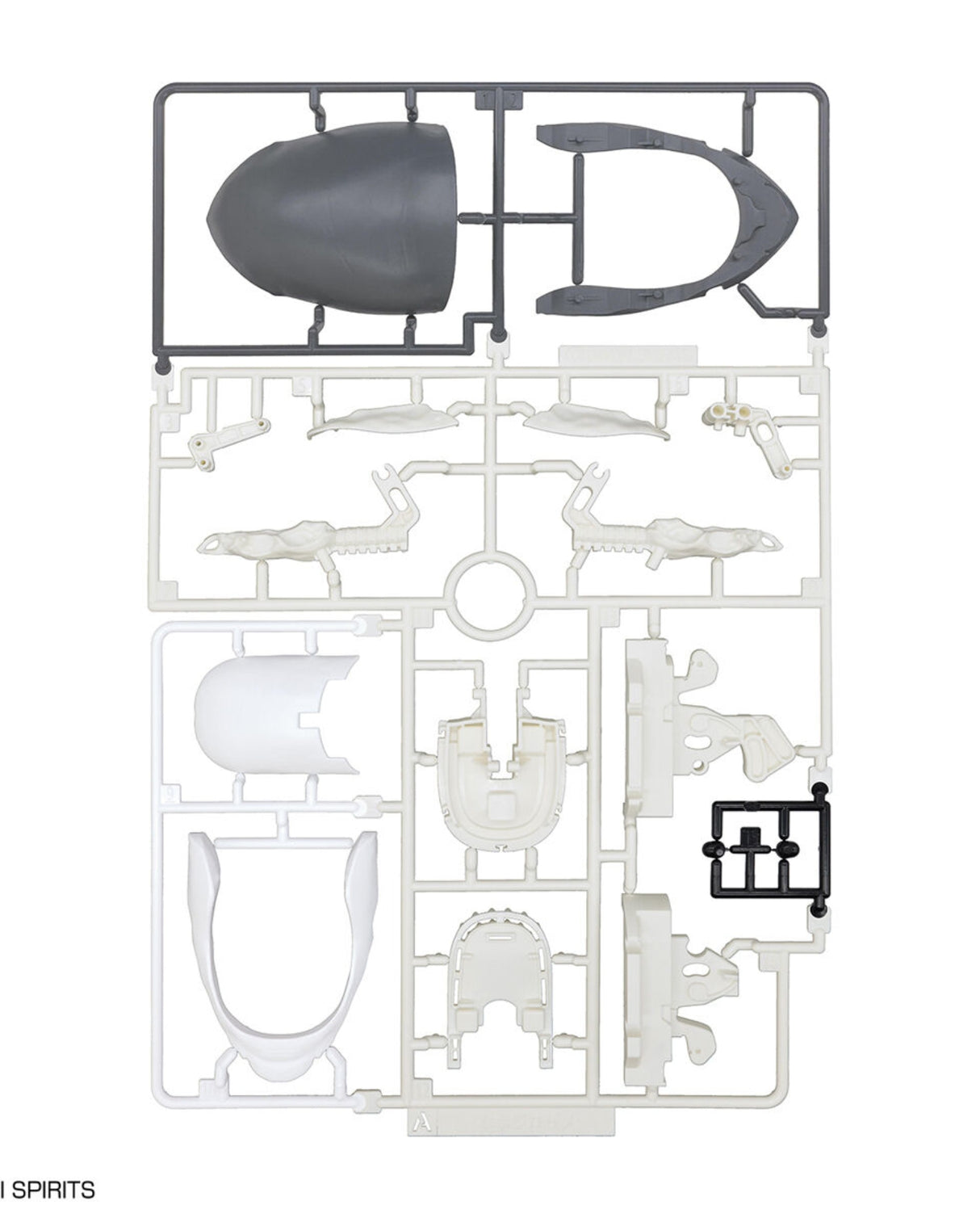 Exploring Lab Nature Great White Shark