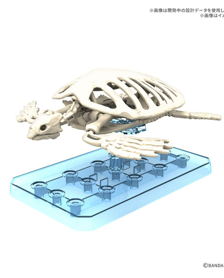 Plannosaurus Archelon : Preorder