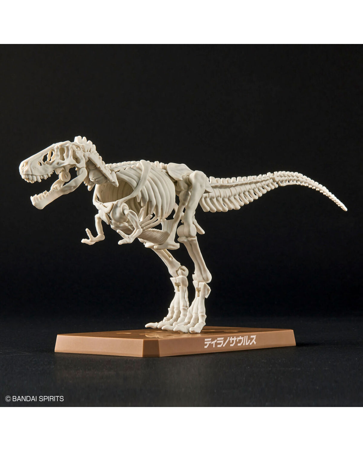 PLANNOSAURUS Dinosaurs Tyrannosaurus