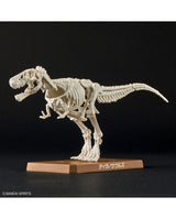 PLANNOSAURUS Dinosaurs Tyrannosaurus