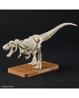 PLANNOSAURUS Dinosaurs Tyrannosaurus