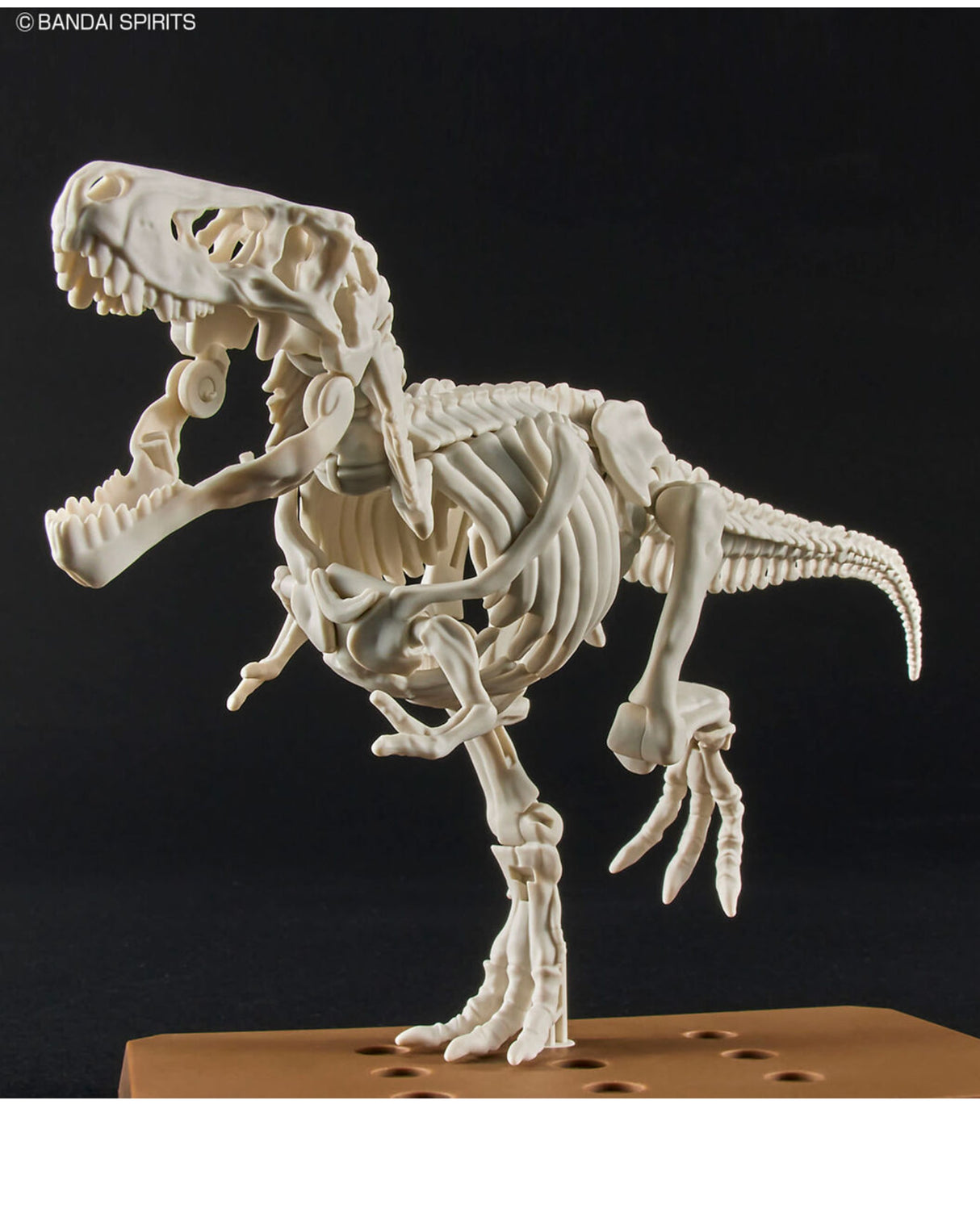 PLANNOSAURUS Dinosaurs Tyrannosaurus