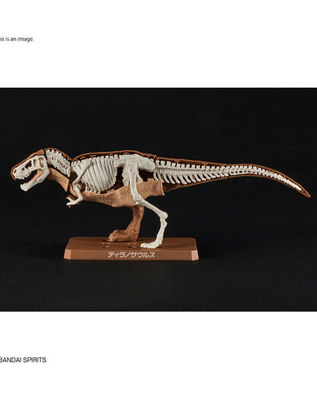 PLANNOSAURUS Dinosaurs Tyrannosaurus