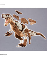 PLANNOSAURUS Dinosaurs Tyrannosaurus