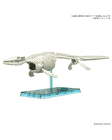 Plannosaurus Mosasaurus 1899 : Preorder