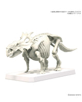 Plannosaurus Pachyrhinosaurus