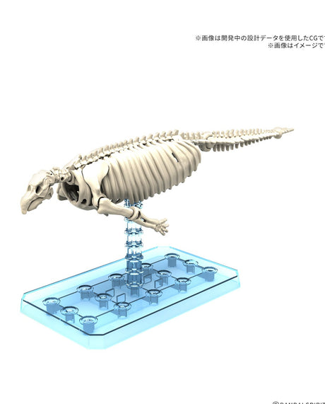 Plannosaurus Stellers Sea Cow : Preorder