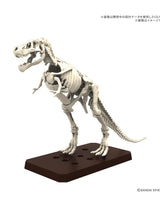 Plannosaurus Tyrannosaurus 1915 : Preorder