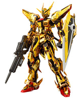 RG 1/144 Akatsuki Gundam Oowashi Unit 1/144