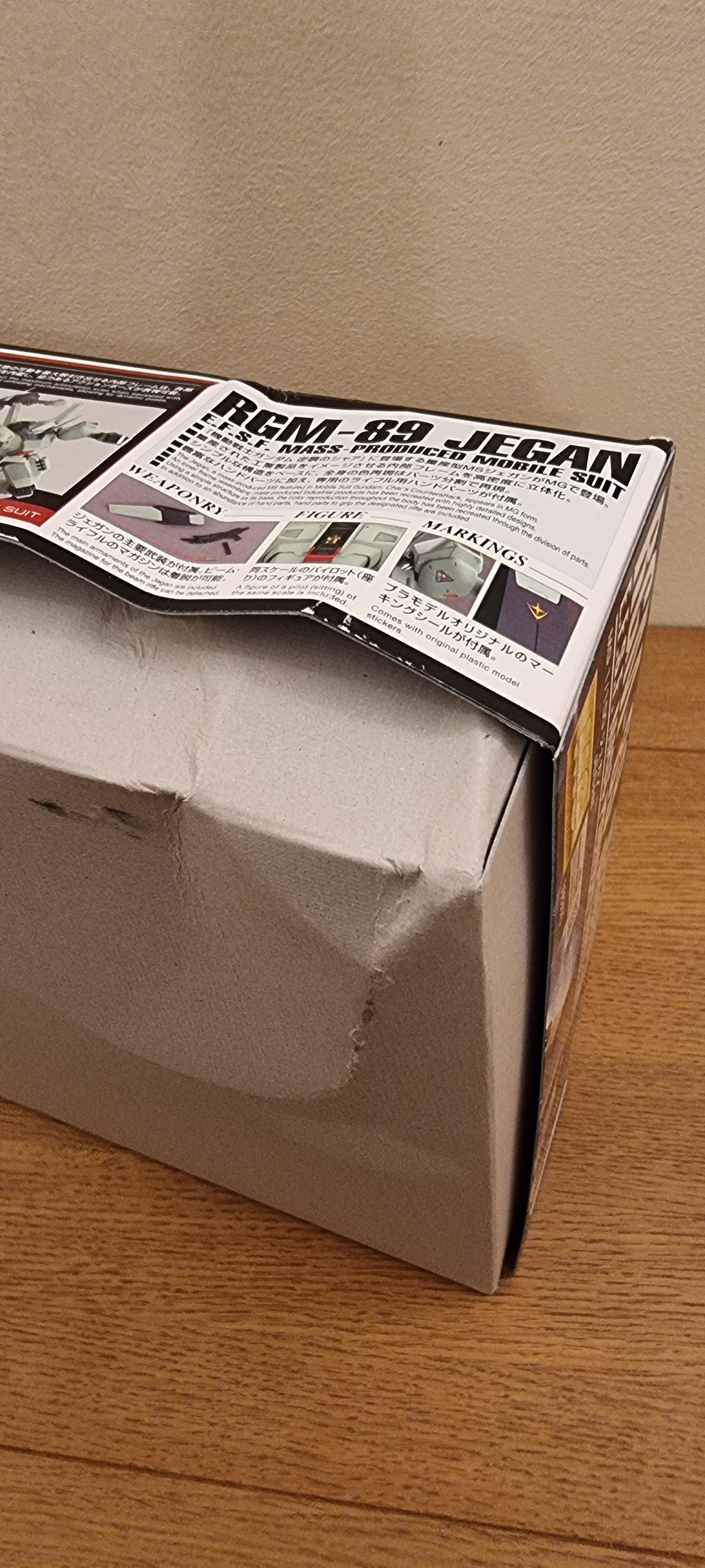 MG 1/100 Jegan Damaged Box (1)
