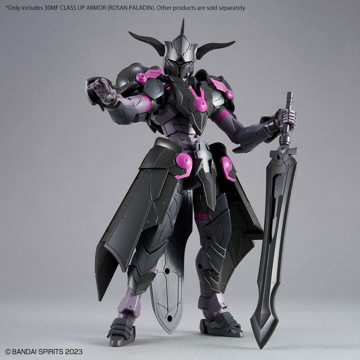 30MF Class Up Armor Rosan Paladin