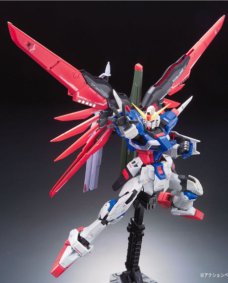 RG Gundam Destiny 1/144